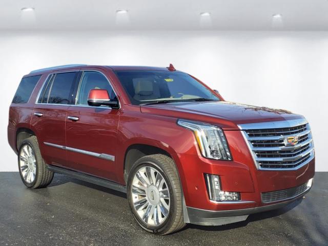 used 2019 Cadillac Escalade car, priced at $39,900