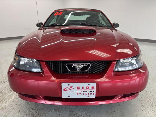 used 2003 Ford Mustang car, priced at $11,000