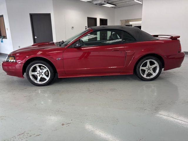 used 2003 Ford Mustang car, priced at $11,000