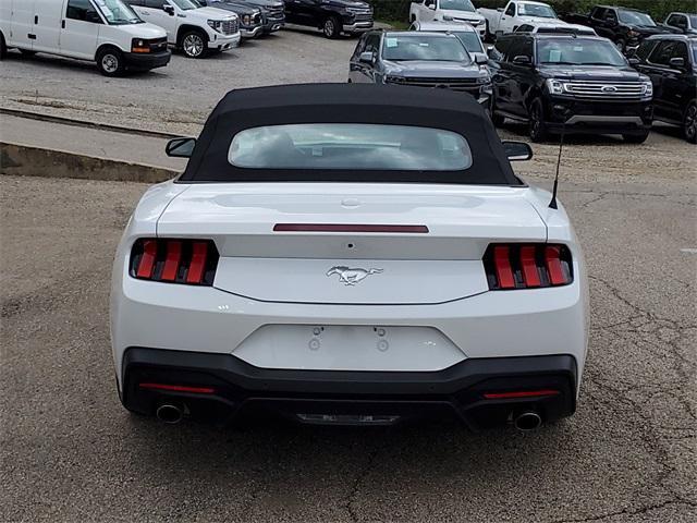 used 2024 Ford Mustang car, priced at $31,899