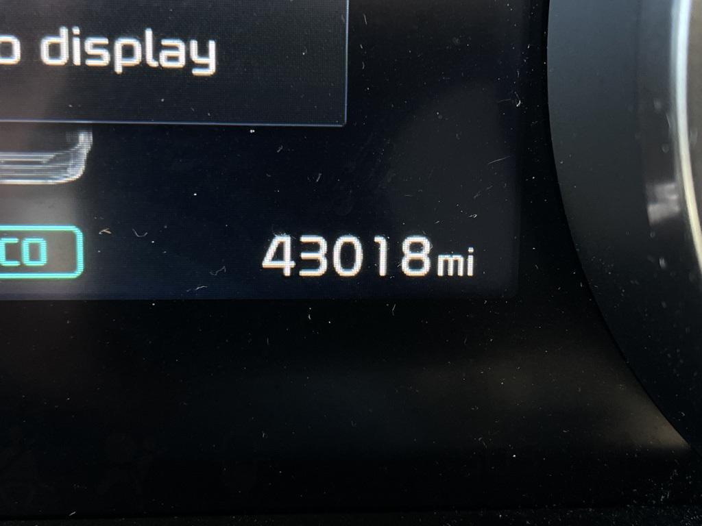 used 2024 Kia Carnival car, priced at $31,426