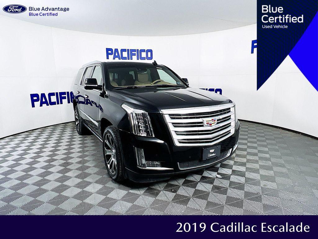 used 2019 Cadillac Escalade car, priced at $33,599