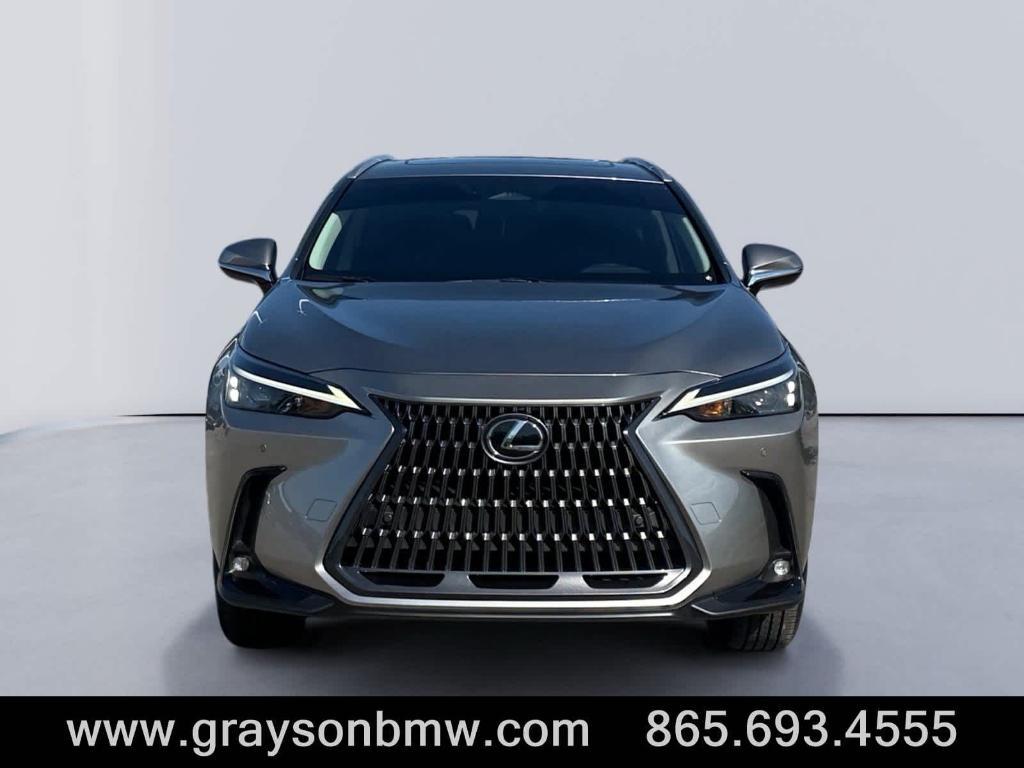 used 2025 Lexus NX 250 car, priced at $39,715
