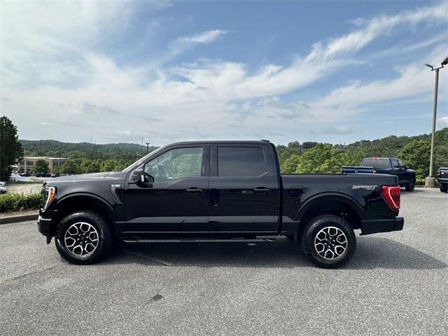 used 2023 Ford F-150 car, priced at $43,333