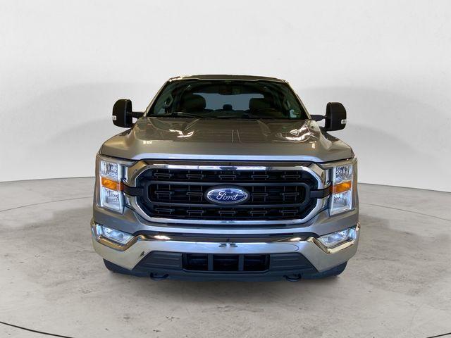 used 2021 Ford F-150 car, priced at $36,999