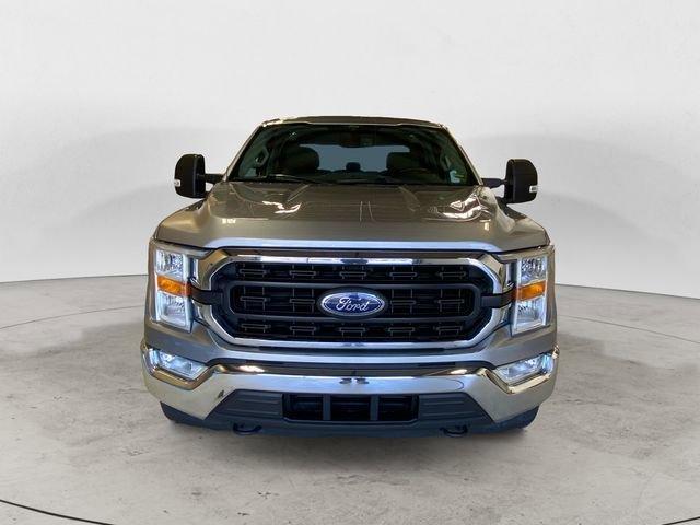 used 2021 Ford F-150 car, priced at $35,995