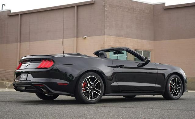 used 2021 Ford Mustang car, priced at $24,900