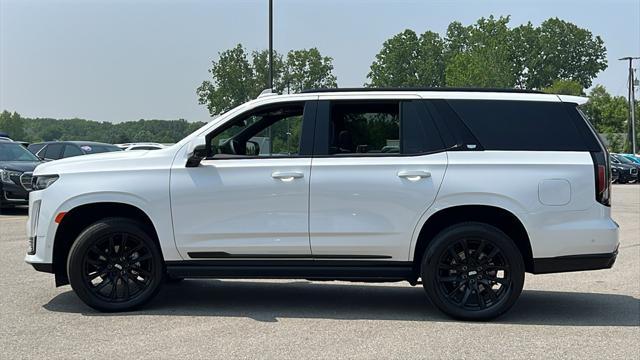 used 2024 Cadillac Escalade car, priced at $90,575