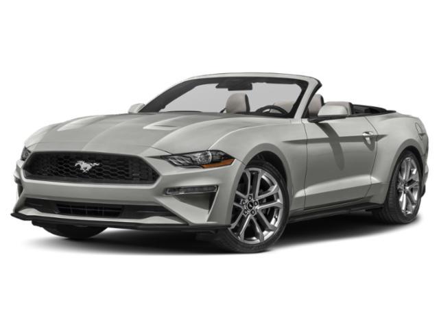 used 2022 Ford Mustang car