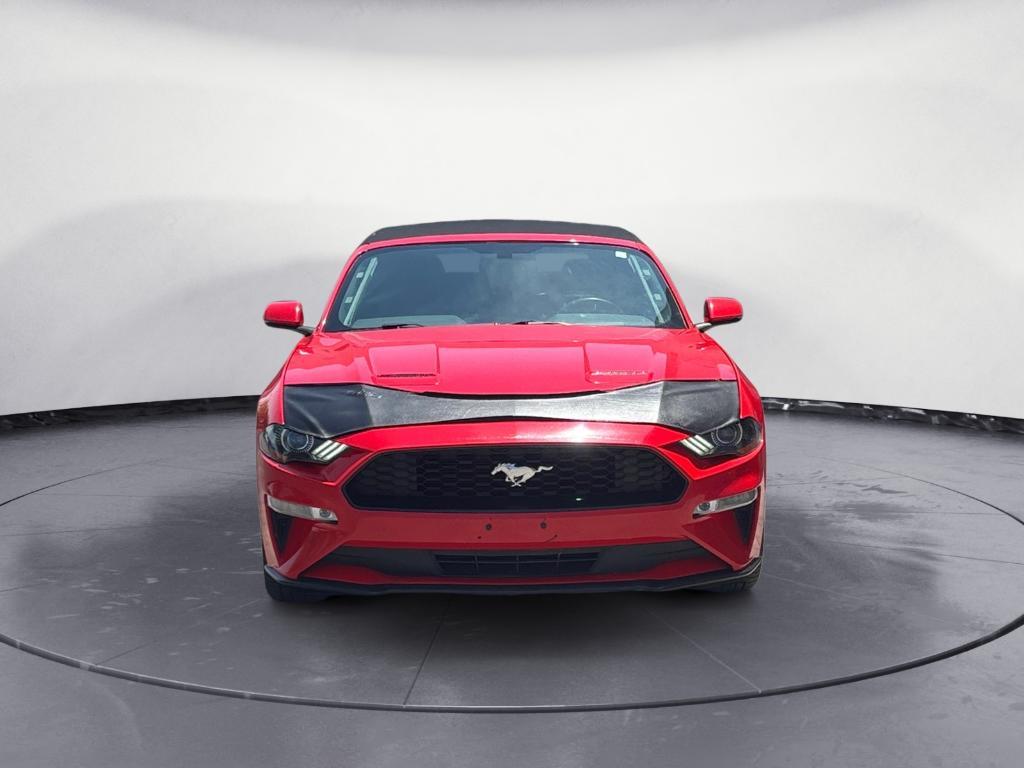 used 2019 Ford Mustang car, priced at $17,890