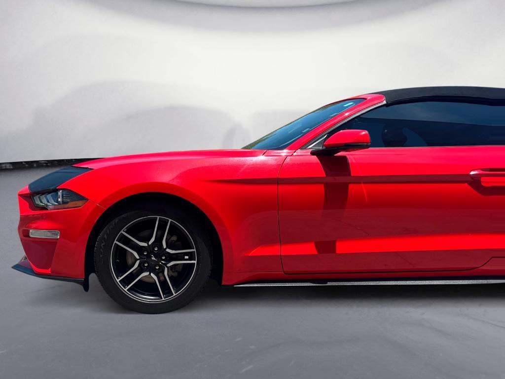 used 2019 Ford Mustang car, priced at $17,890