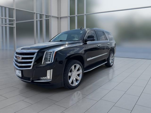 used 2020 Cadillac Escalade car, priced at $44,995