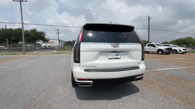 used 2024 Cadillac Escalade car, priced at $83,995
