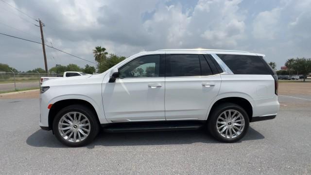 used 2024 Cadillac Escalade car, priced at $83,995