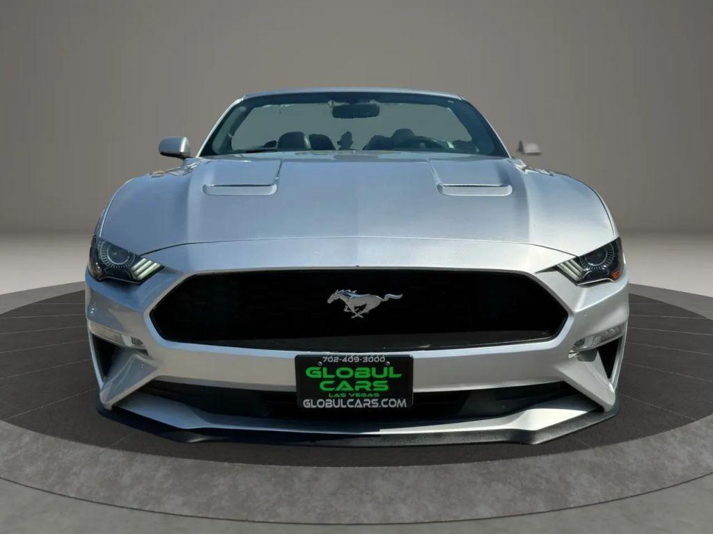 used 2019 Ford Mustang car, priced at $19,799