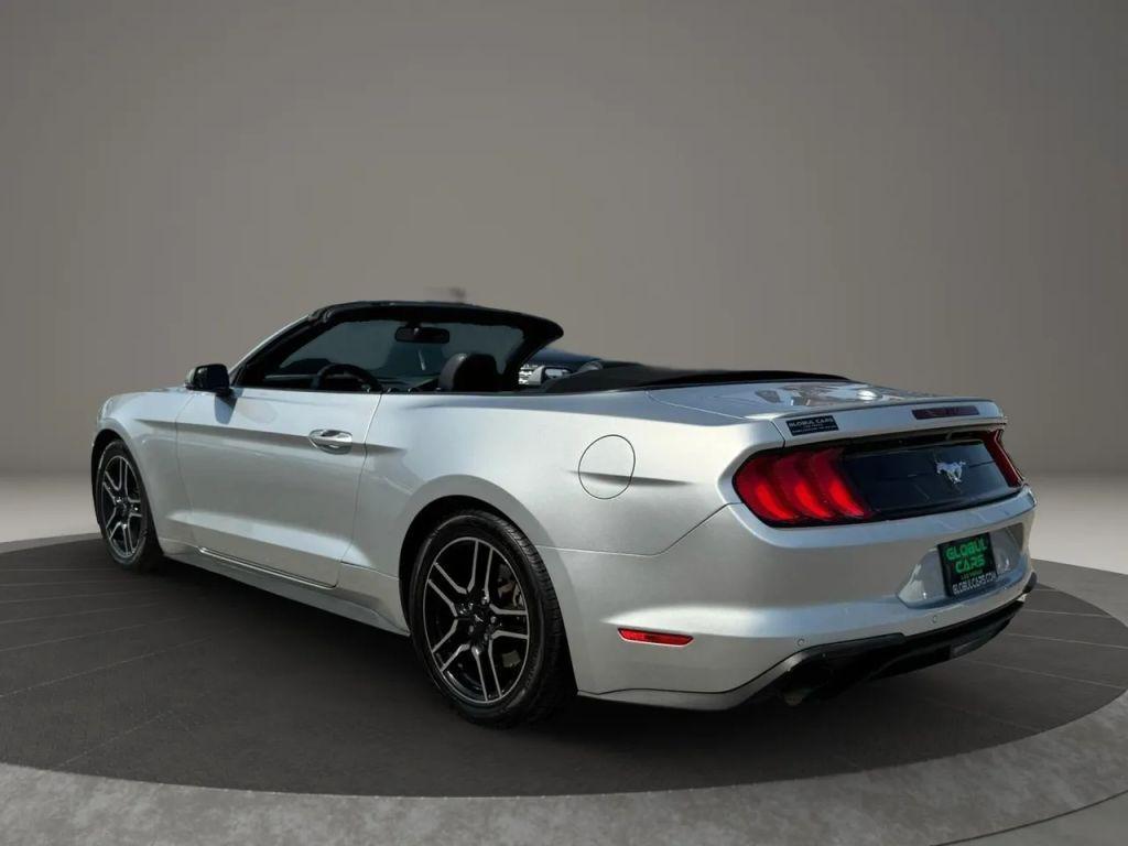 used 2019 Ford Mustang car, priced at $19,799
