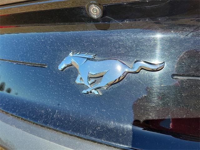 used 2022 Ford Mustang car, priced at $21,995