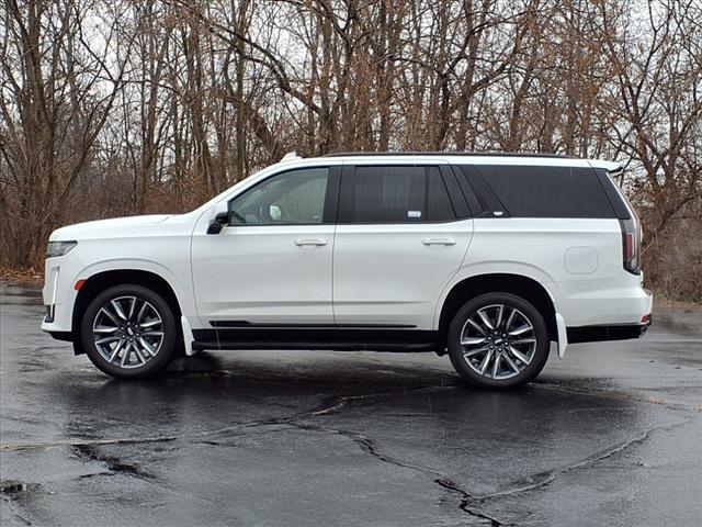 used 2021 Cadillac Escalade car, priced at $59,995