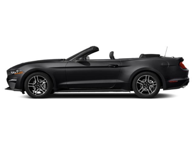 used 2019 Ford Mustang car