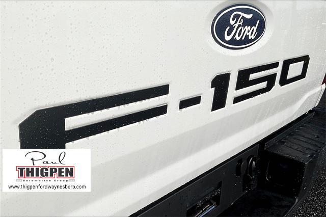 new 2025 Ford F-150 car