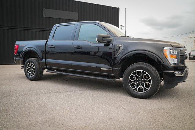 used 2023 Ford F-150 car, priced at $42,990