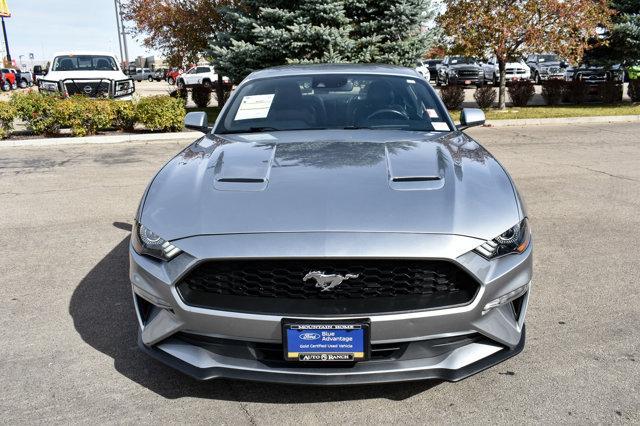 used 2022 Ford Mustang car, priced at $24,500