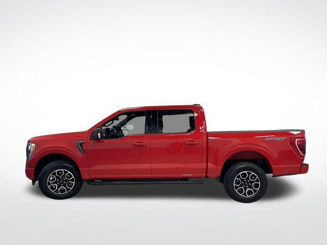 used 2023 Ford F-150 car, priced at $36,281