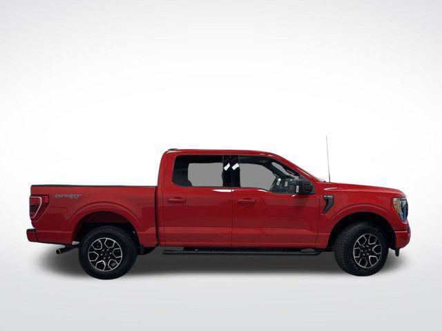 used 2023 Ford F-150 car, priced at $36,281