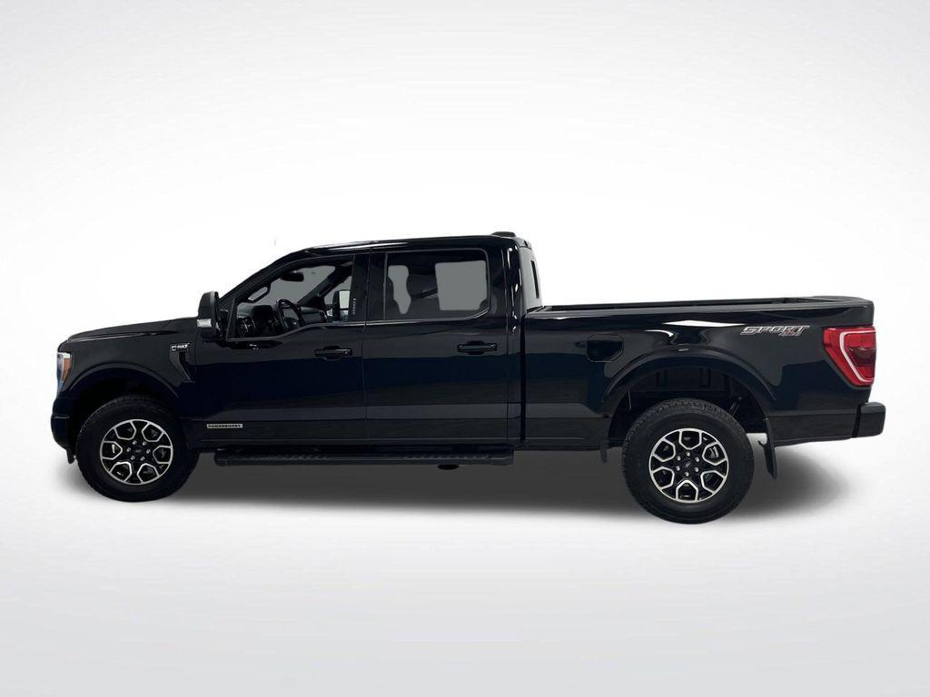 used 2023 Ford F-150 car, priced at $42,403