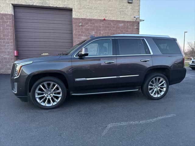 used 2017 Cadillac Escalade car, priced at $28,495