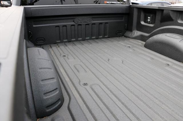 new 2025 Ford F-250 car, priced at $117,345