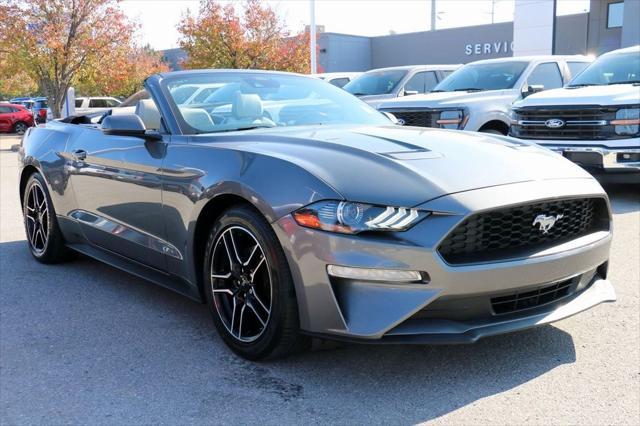 used 2022 Ford Mustang car, priced at $24,000