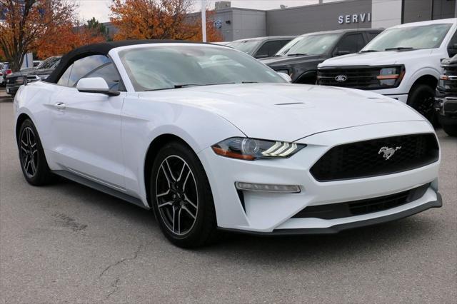 used 2022 Ford Mustang car, priced at $22,000