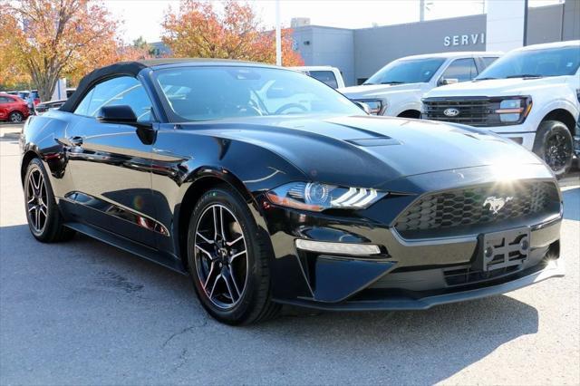 used 2022 Ford Mustang car, priced at $22,500