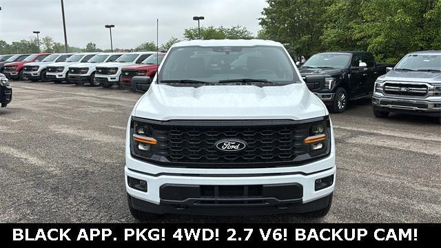 new 2025 Ford F-150 car, priced at $48,665