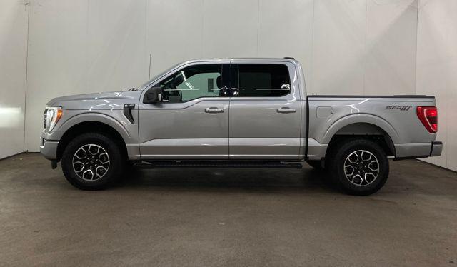 used 2023 Ford F-150 car, priced at $36,000