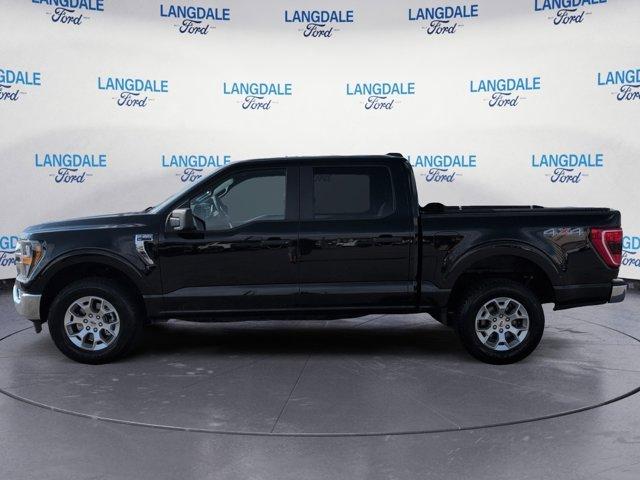 used 2023 Ford F-150 car, priced at $35,981