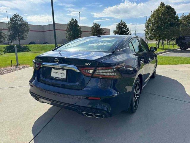 used 2022 Nissan Maxima car, priced at $22,000