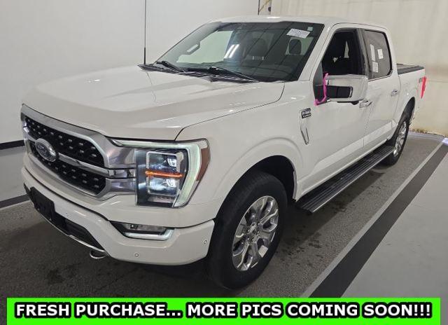 used 2021 Ford F-150 car, priced at $43,837