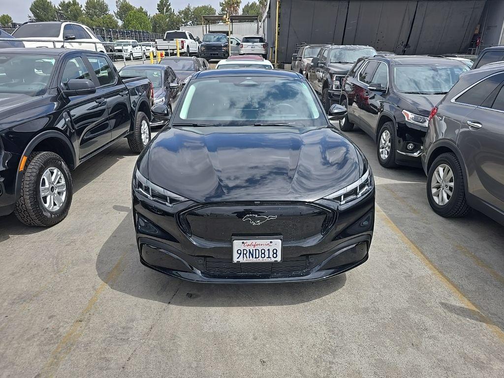 used 2024 Ford Mustang Mach-E car