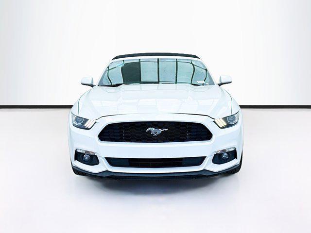 used 2017 Ford Mustang car