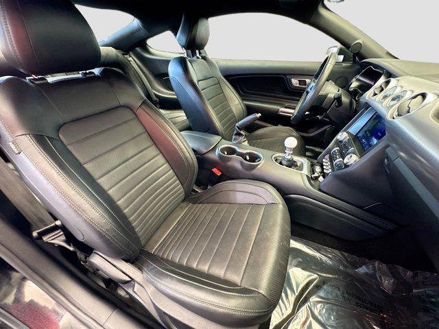 used 2019 Ford Mustang car