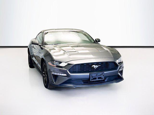 used 2023 Ford Mustang car