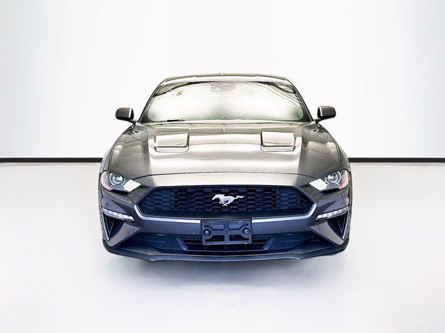 used 2023 Ford Mustang car