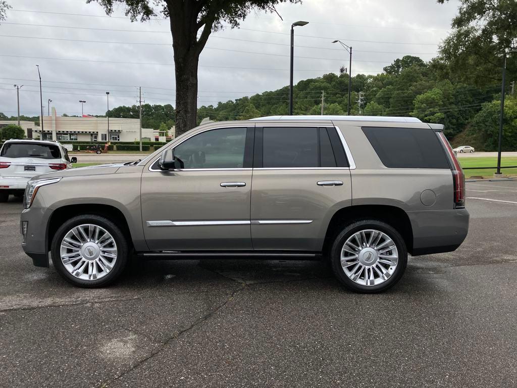 used 2019 Cadillac Escalade car, priced at $34,116