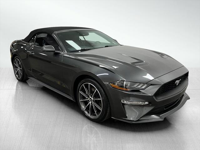 used 2019 Ford Mustang car, priced at $19,100