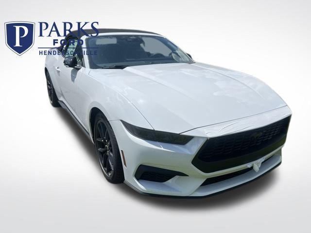 new 2025 Ford Mustang car, priced at $48,800