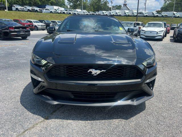 used 2019 Ford Mustang car, priced at $19,398