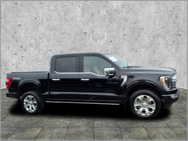 used 2023 Ford F-150 car, priced at $54,990