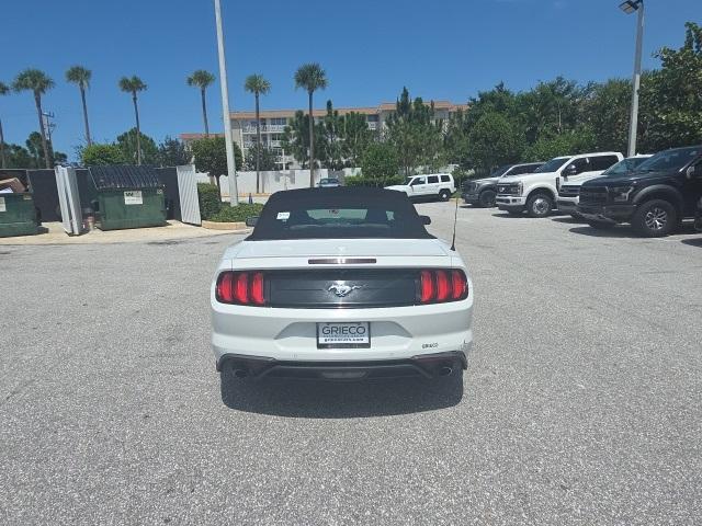 used 2019 Ford Mustang car, priced at $13,900